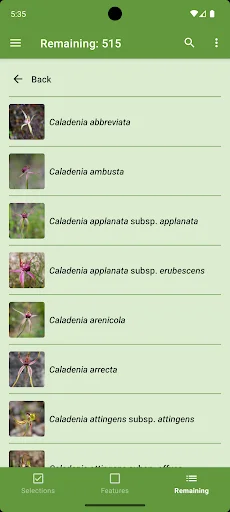 Western Australian Orchid Key ডাউনলোড করুন – সেরা অর্কিড গাইড - Screenshot 5